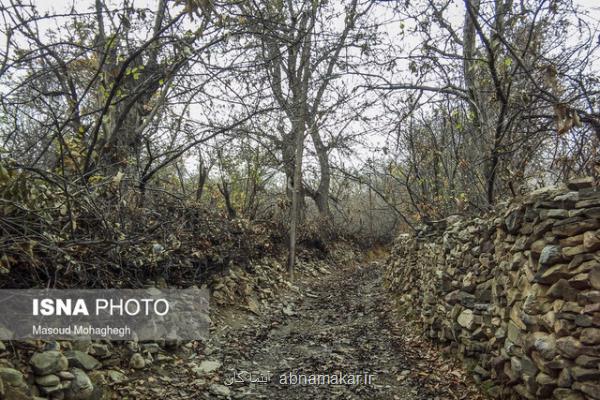 بسترسازی برای رونق گردشگری كشاورزی در استان سمنان