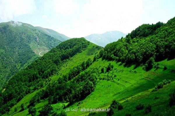 طغیان پروانه ها در ارسباران انسان درحال نابود كردن بهشت آذربایجان
