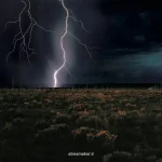 بالاترین آثار هنری که 2025 به نمایش درآمدند