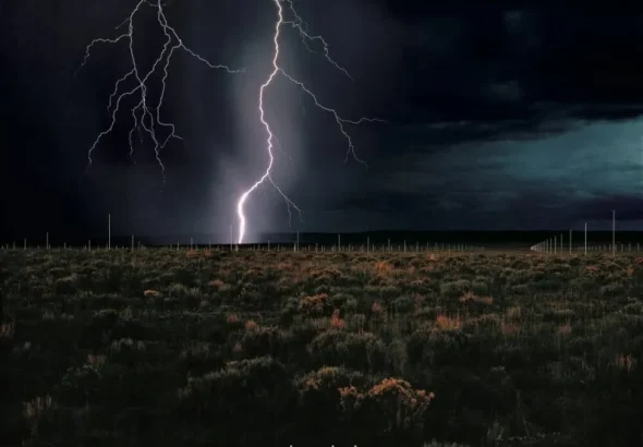 بالاترین آثار هنری که 2025 به نمایش درآمدند