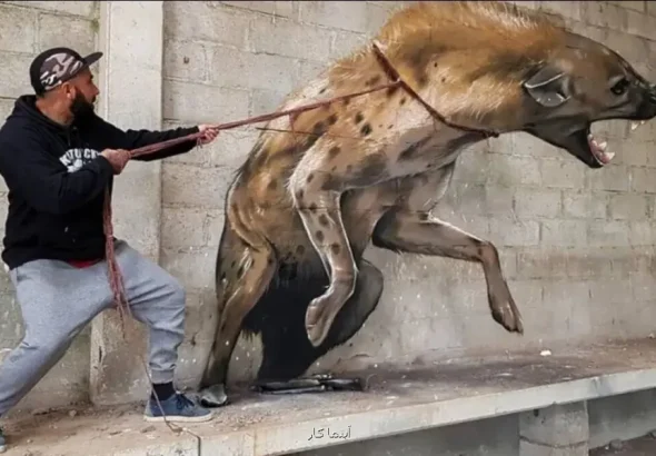 نقاشی های برجسته ای که زنده تصور می شوند
