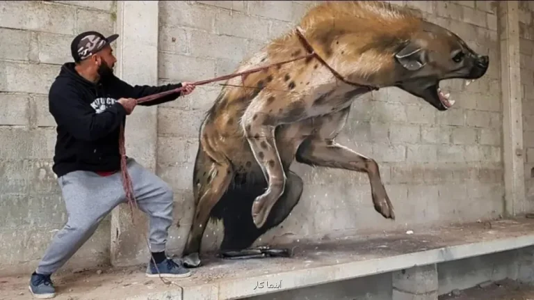 نقاشی های برجسته ای که زنده تصور می شوند